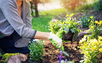 Vorschaubild für den Artikel 'Da blüht Ihnen was!'