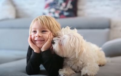 Vorschaubild für den Artikel 'Eine für Alle!'