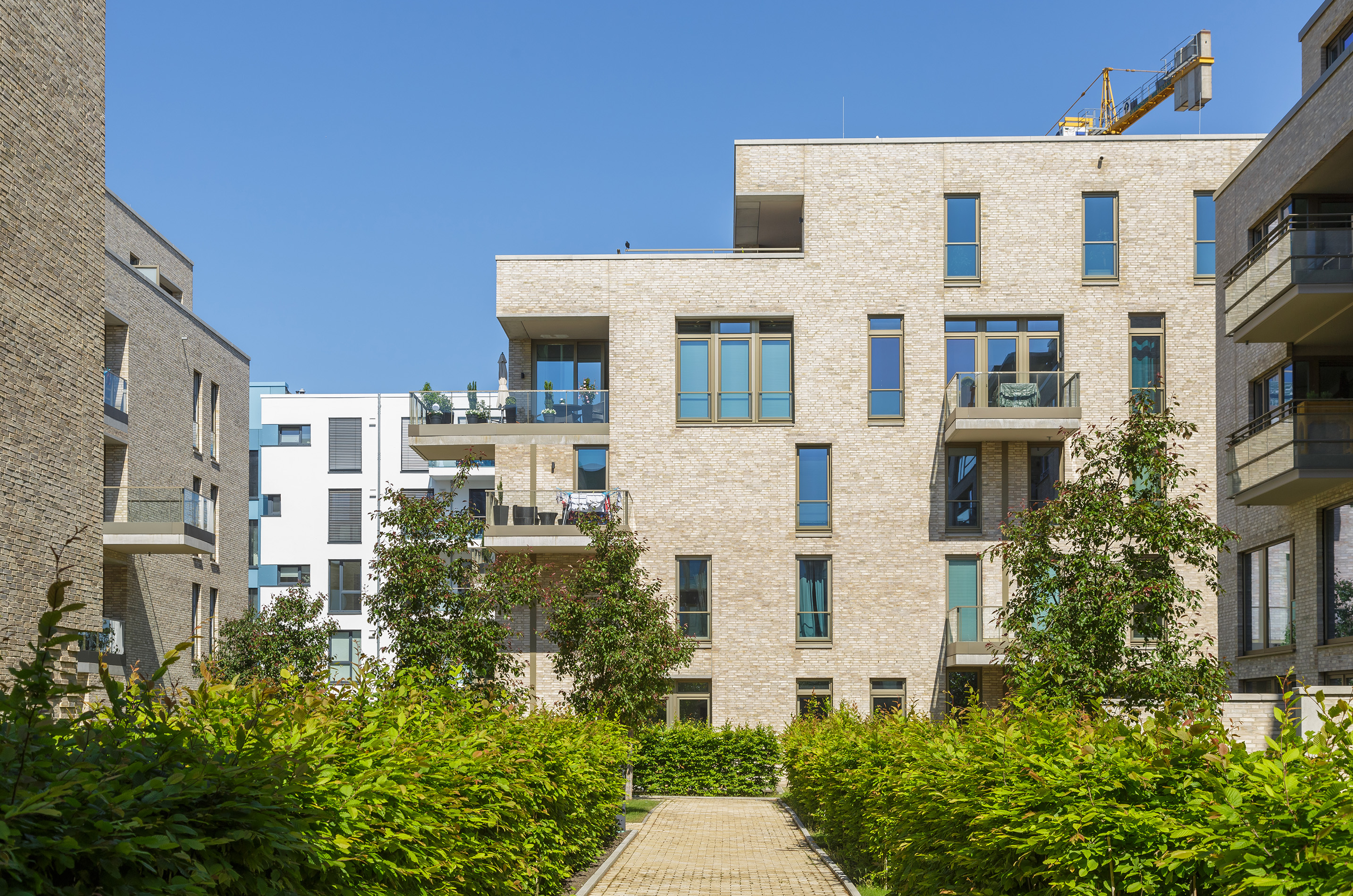 Weg mit flankierenden Hecken zum Wohnhaus Magellan-Quartier
