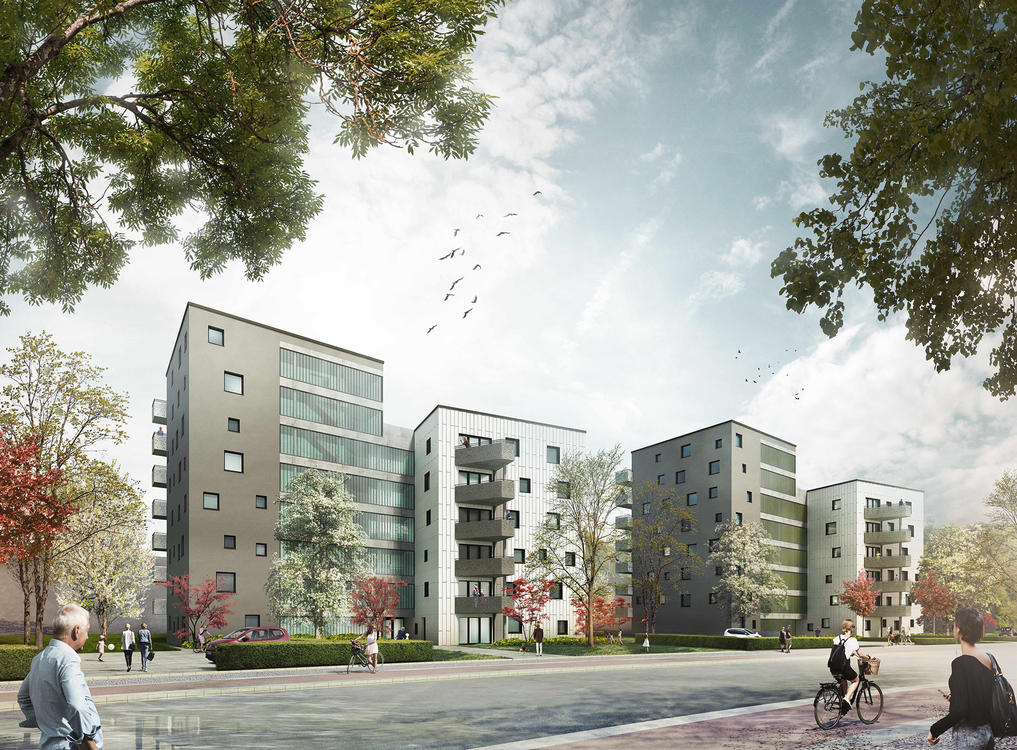 Visualisierung von Neubauprojekt "Tarzan und Jane", verschiedene graue und weiße moderne Wohnblocks in Bremen Gartenstadt Vahr, Straßenseite